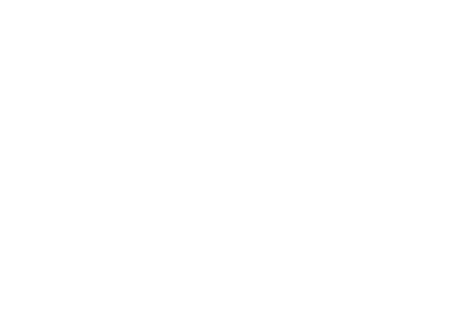 Digital image: Fulton Logo White